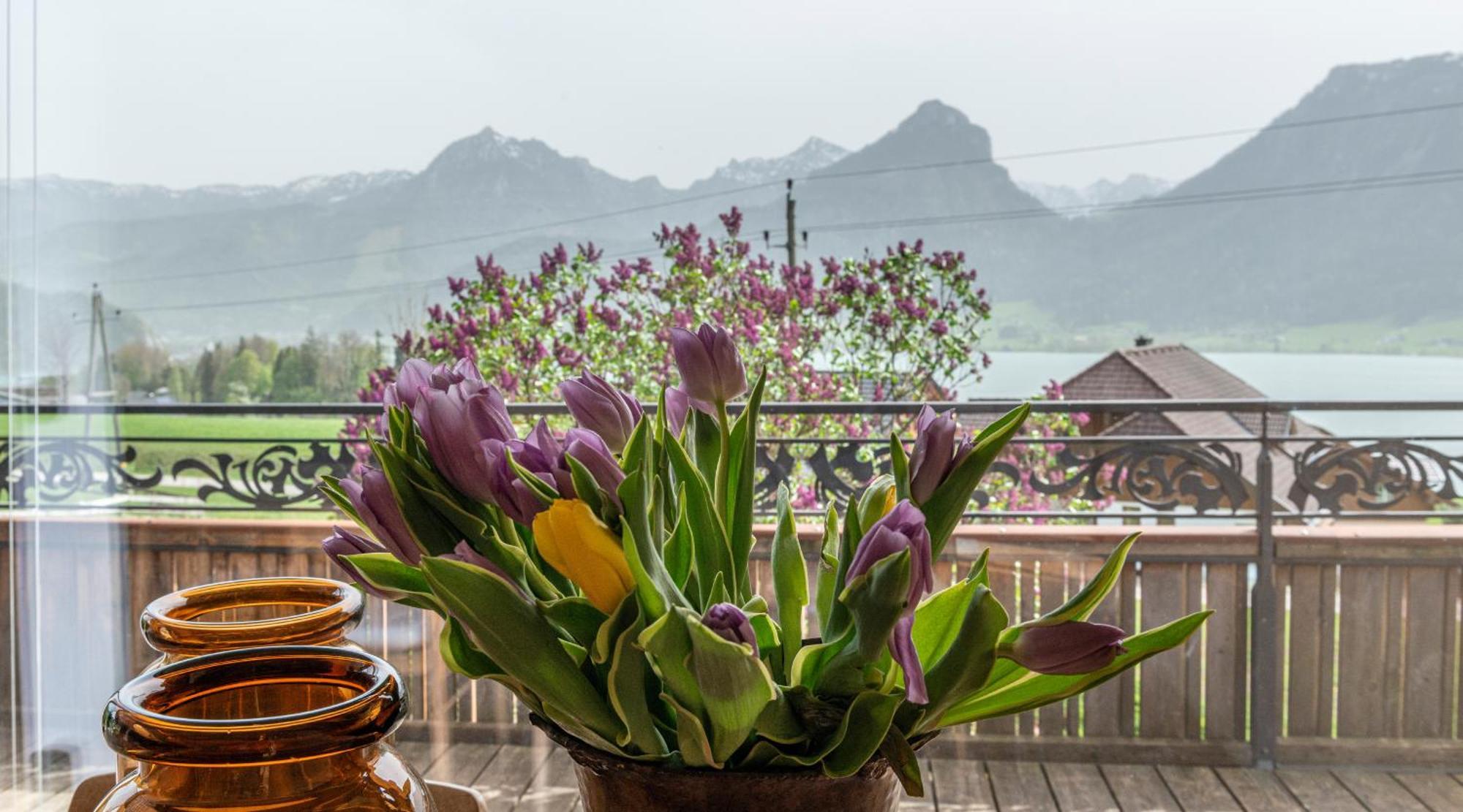 The View Apartment Sankt Wolfgang im Salzkammergut ภายนอก รูปภาพ